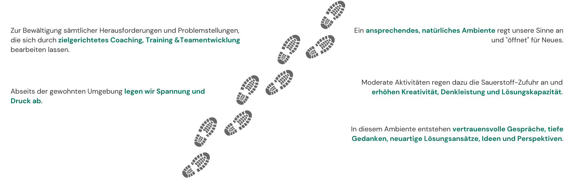 Wandercoaching Weg Section - Stretch Coaching