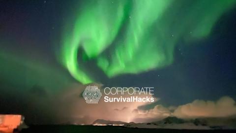 You are currently viewing Leadership lessons from the Aurora