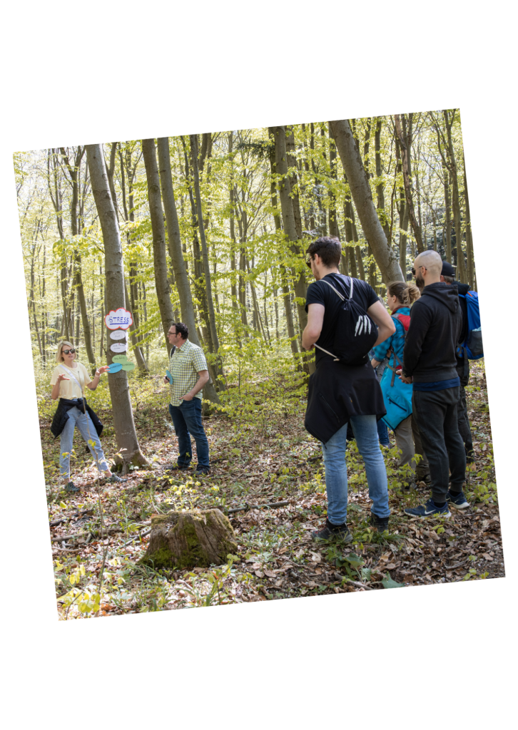 Training Teambuilding - Stretch Coaching - teamentwicklung