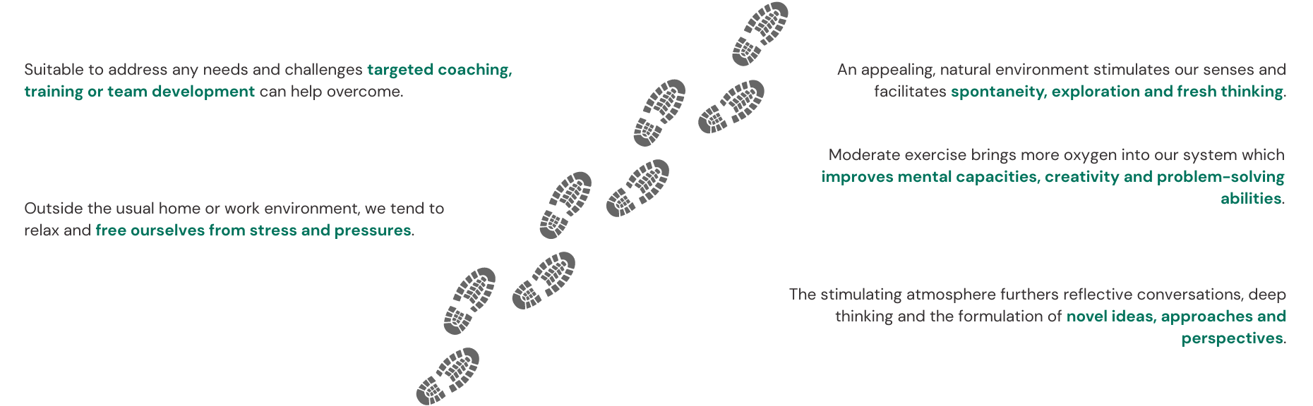 Wandercoaching Weg Section - Stretch Coaching
